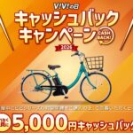 🌞　Panazonic　ViViの日キャッシュバックキャンペーン！🌞